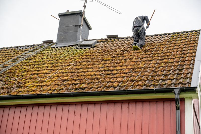 Roof Moss Removal