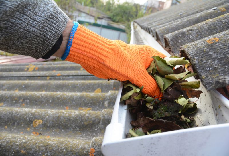 Cleaning Residential Gutters