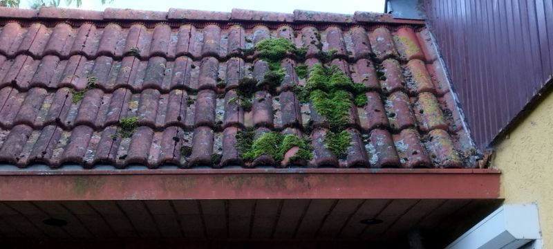 Products For Roof Moss Removals in use