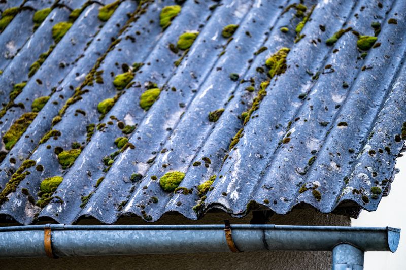 Roof Moss Removal Costs — Cost of Roof Moss Removal