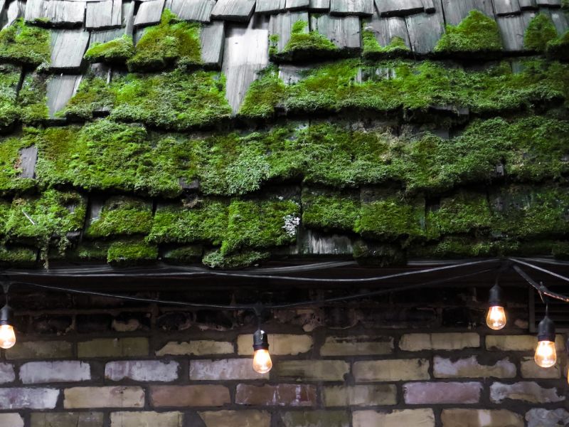 Roof Moss Removal Costs — Cost of Roof Moss Removal