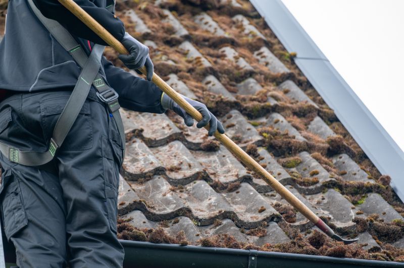 Roof Moss Removal Costs — Cost of Roof Moss Removal