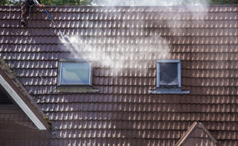 Signs Your Home Needs Professional Roof Cleaning