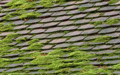Avoid Roof Damage!